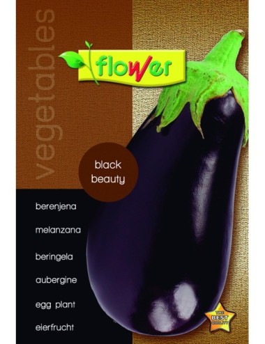 Berenjena black beauty