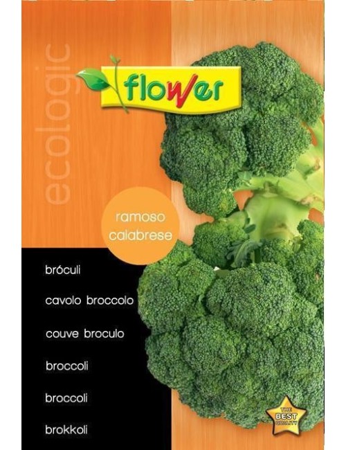 Brócoli ramoso calabrese