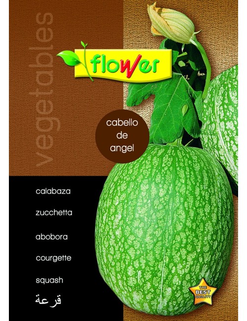 Calabaza cabello de ángel