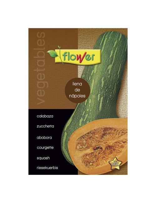 Calabaza llena de nápoles