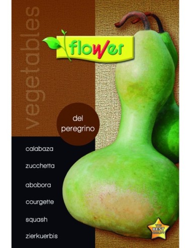 Calabaza del peregrino