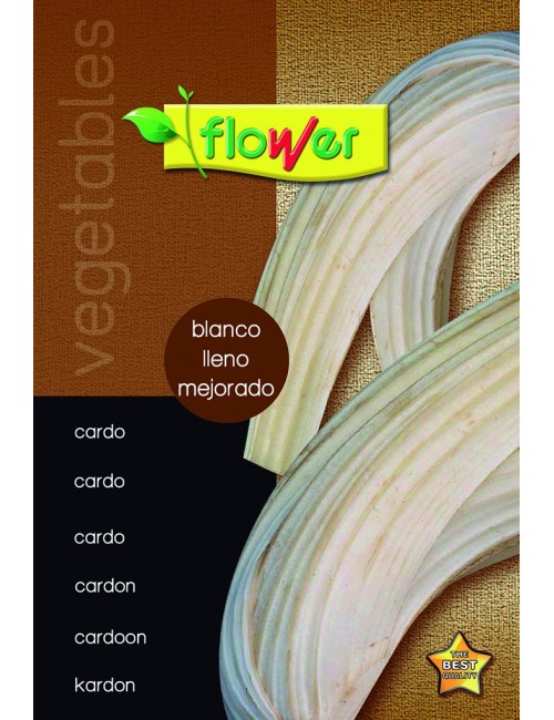Cardo blanco lleno mejorado