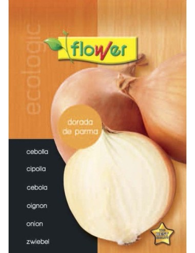 Cebolla dorada de parma