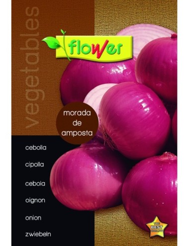 Cebolla morada de amposta