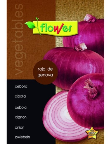 Cebolla roja de génova