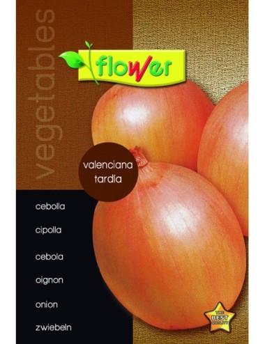 Cebolla valenciana