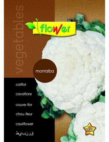 Coliflor montalba