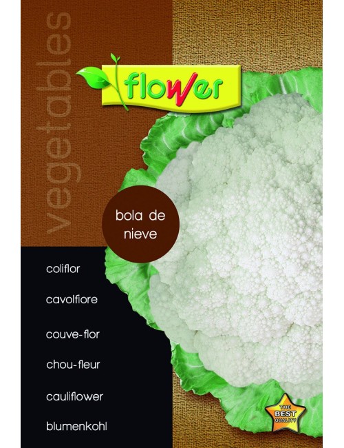 Coliflor bola de nieve