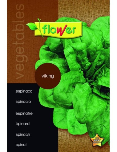 Espinaca viking