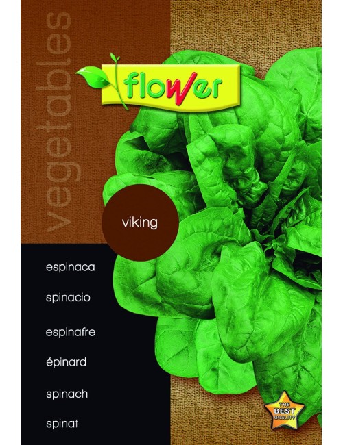 Espinaca viking