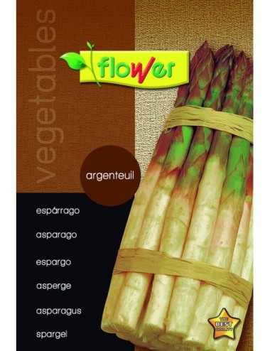 Espárrago argenteuil