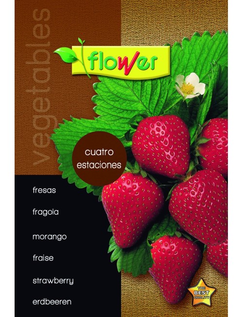 Fresas cuatro estaciones