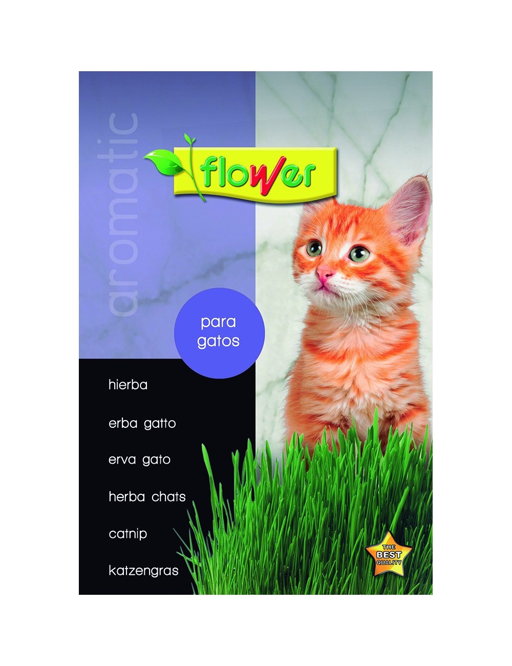 Hierba para gatos