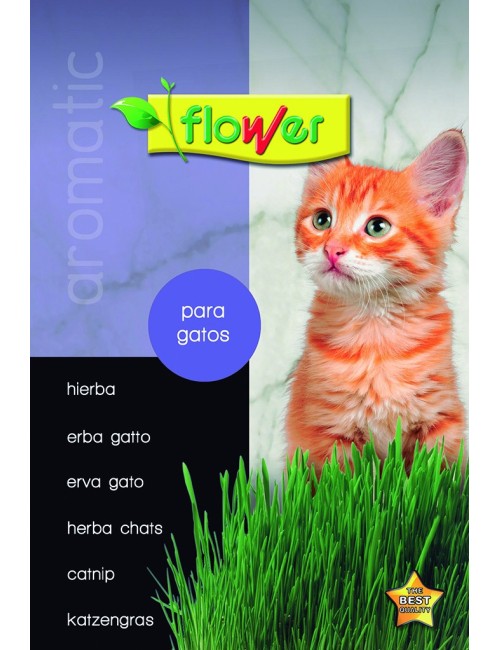 Hierba para gatos