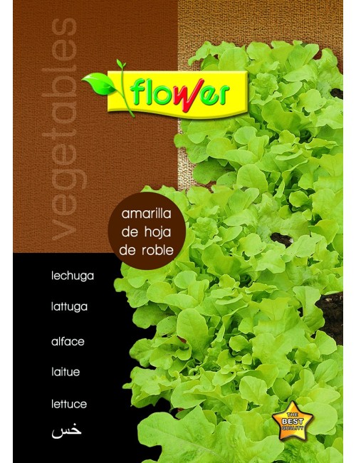 Lechuga hoja de roble