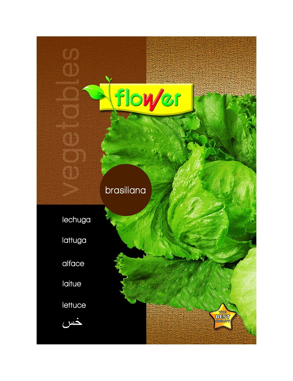 Lechuga brasiliana