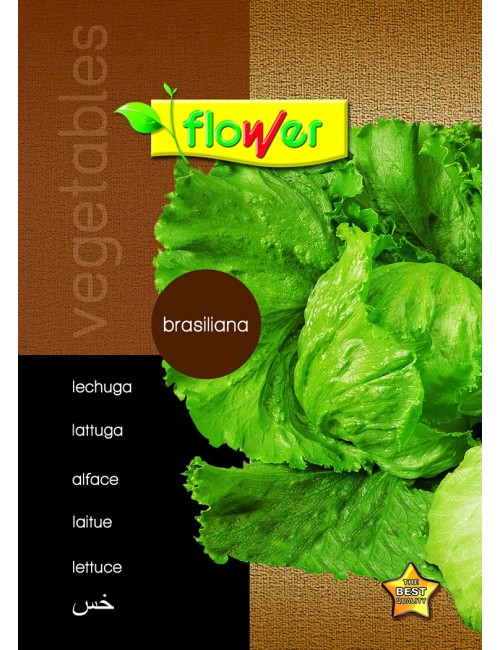 Lechuga brasiliana