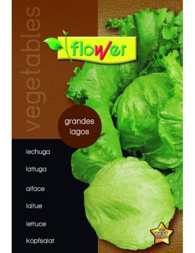 Lechuga grandes lagos