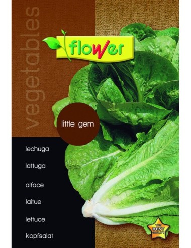 Lechuga little gem