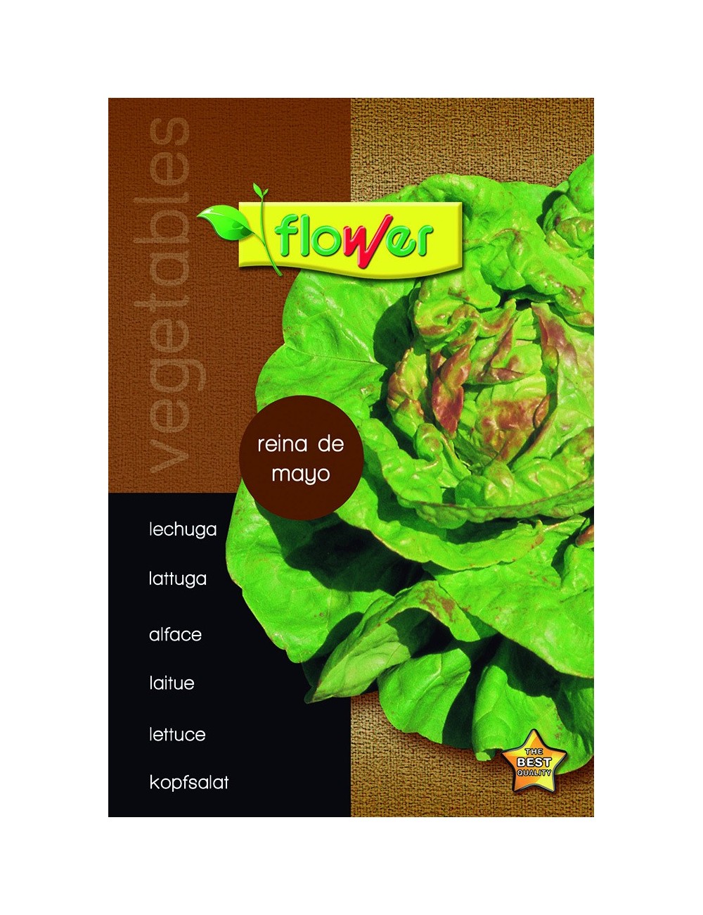 Lechuga reina de mayo