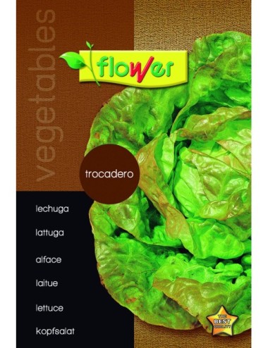 Lechuga trocadero