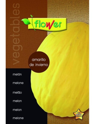 Melón amarillo de invierno