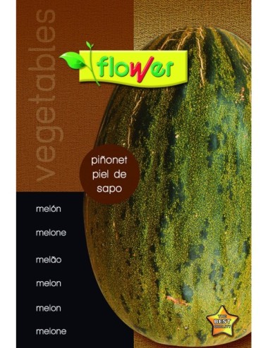 Melón piñonet piel de sapo