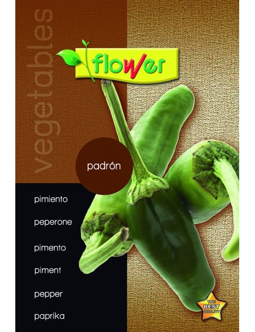 Pimiento padrón
