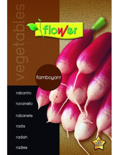 Rabanito flamboyant