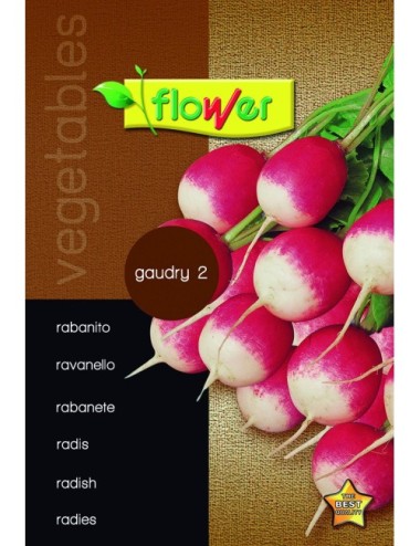 Rabanito gaudry 2