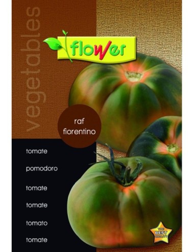 Tomate raf florentino