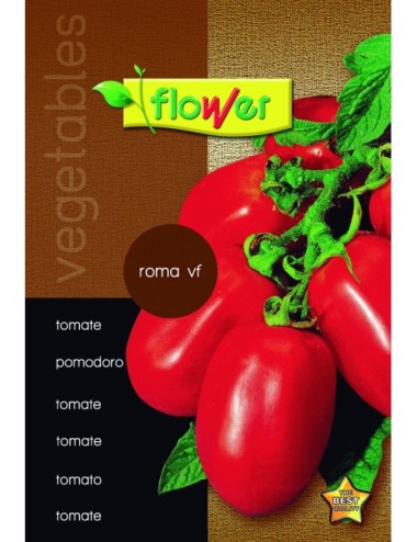 Tomate roma vf