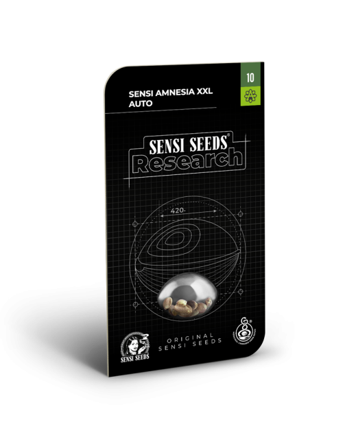 Sensi amnesia xxl auto sensi seeds
