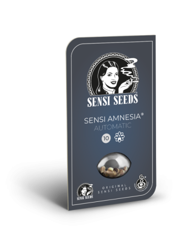 Sensi amnesia auto sensi seeds