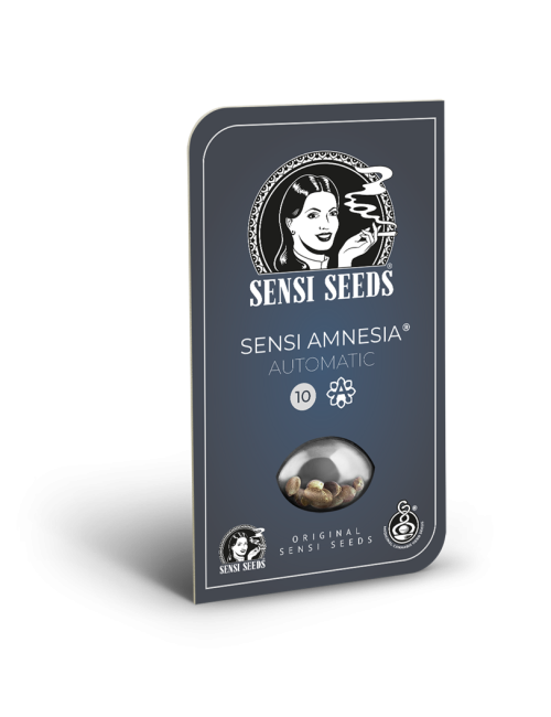 Sensi amnesia auto sensi seeds