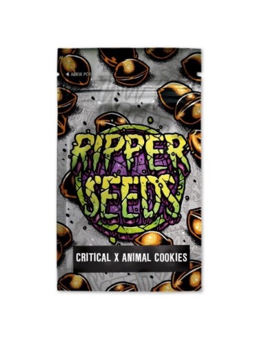 Critical x animal cookies (3) ripper seeds