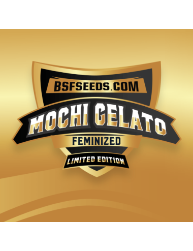 Gelato mochi le bsf
