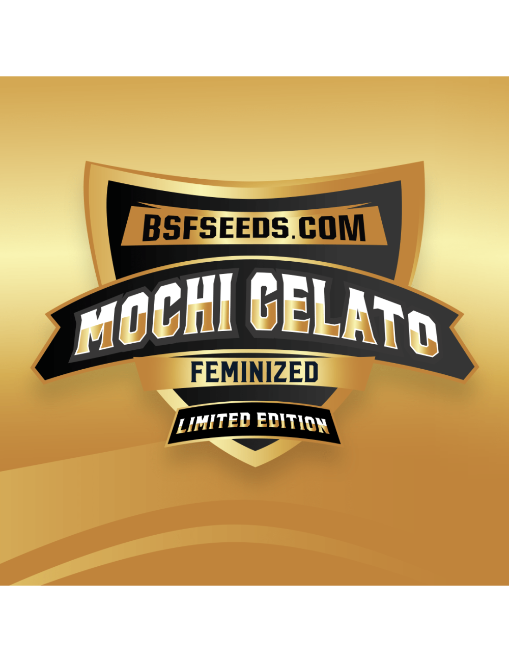 Gelato mochi le bsf
