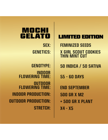 Gelato mochi le bsf