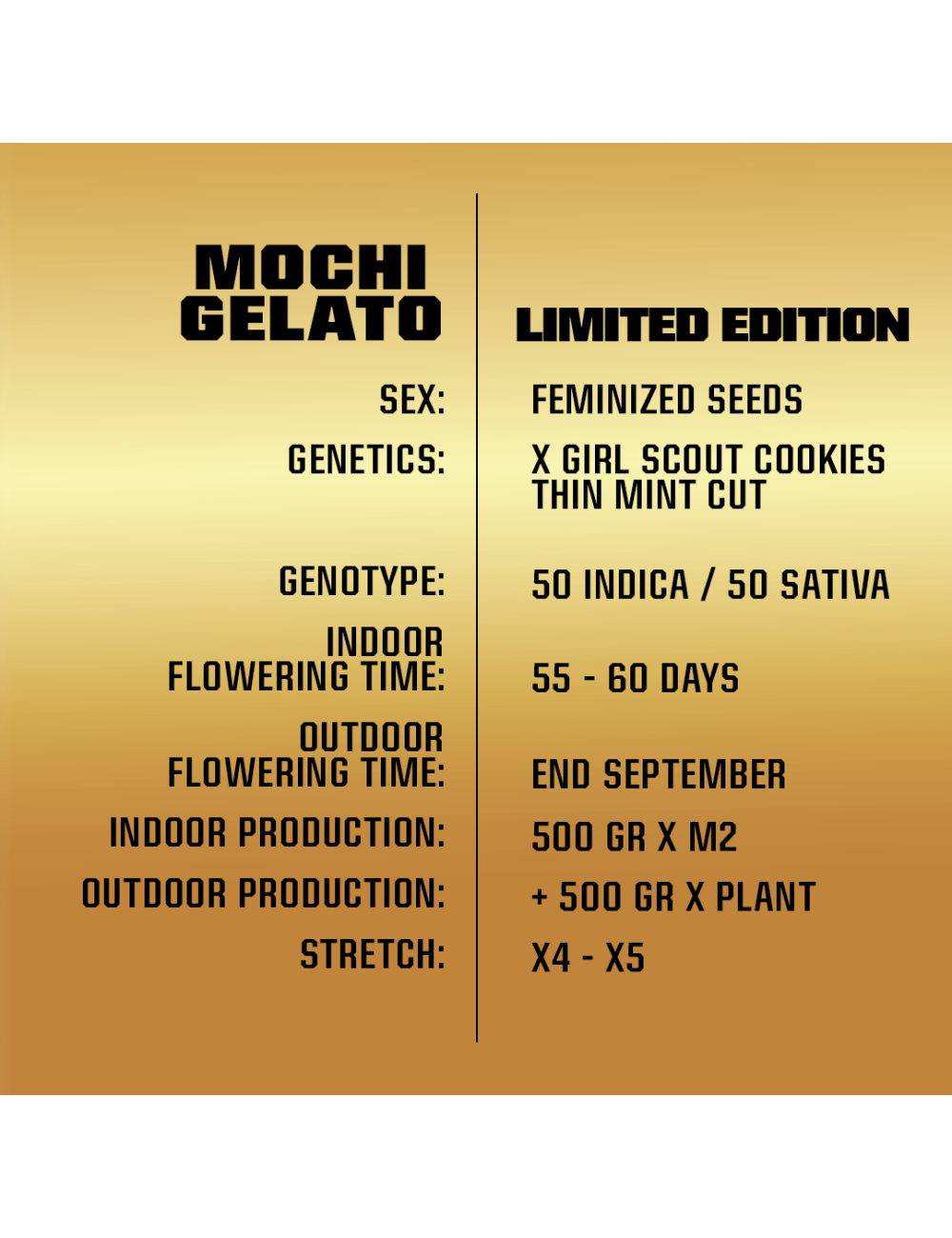Gelato mochi le bsf