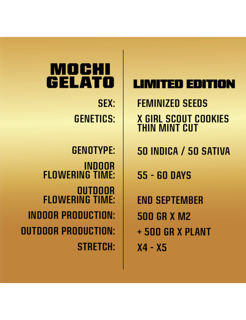 Gelato mochi le bsf