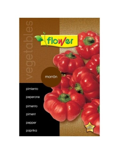 Pimiento morrón flower