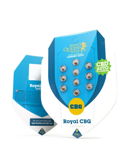 Royal cbg auto royal queen seeds