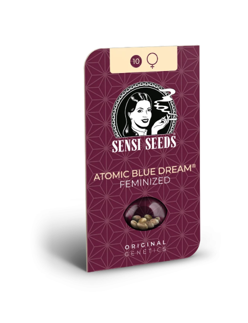 Semilla de atomic blue dream feminizada