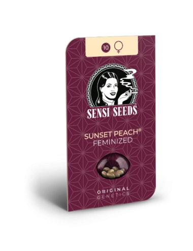 Sunset peach (3) sensi seeds