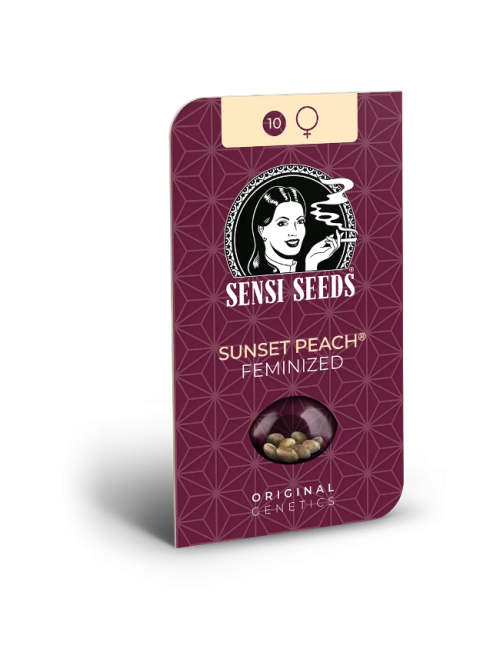 Sunset peach (3) sensi seeds