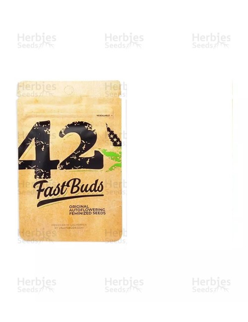 Semilla original cinderella fastbuds
