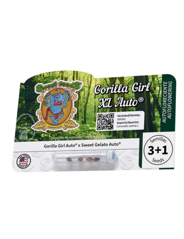Gorilla girl xl auto 100%