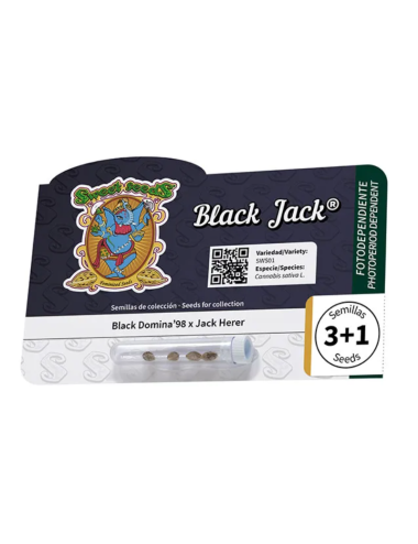 Black jack 100%