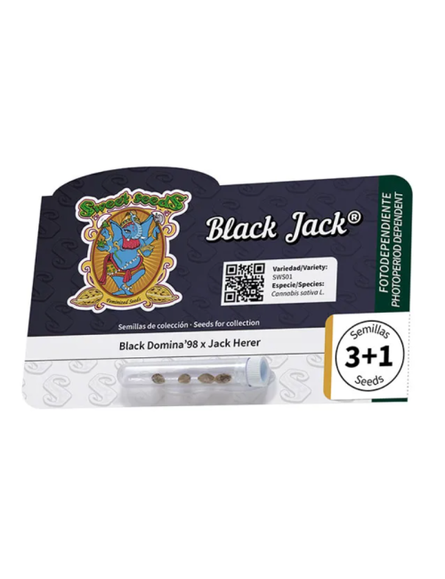 Black jack 100%
